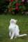 kihnuimg_1797_small.jpg